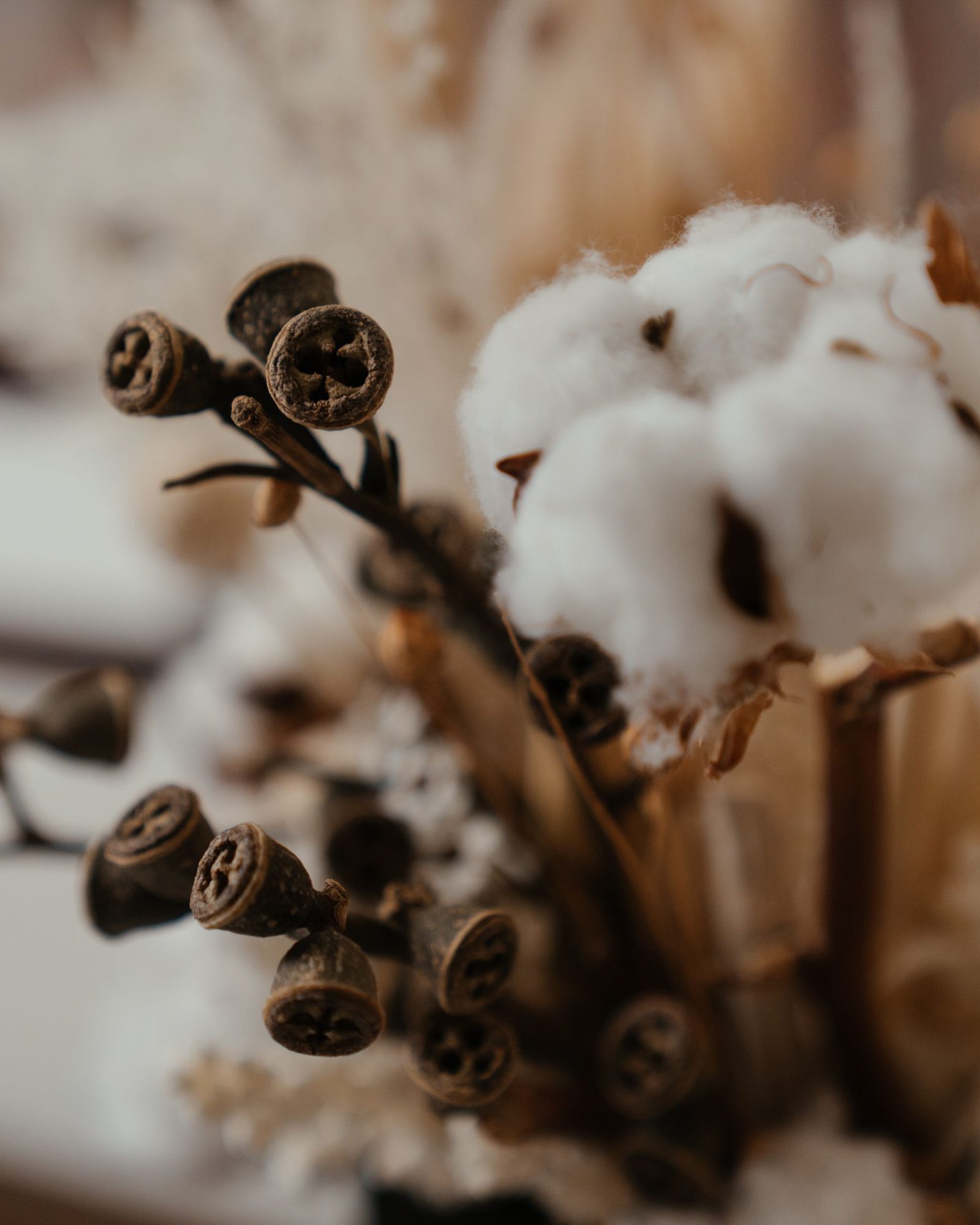 Gros plan d’un bouquet de plantes séchées